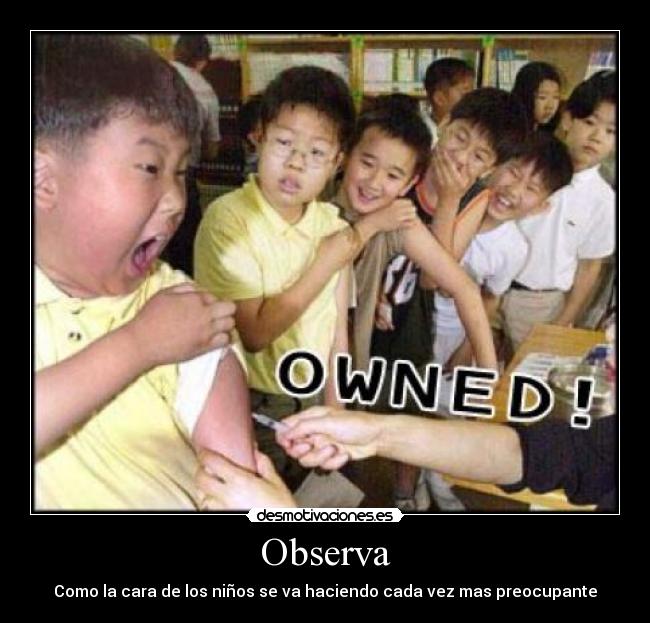 Observa - 