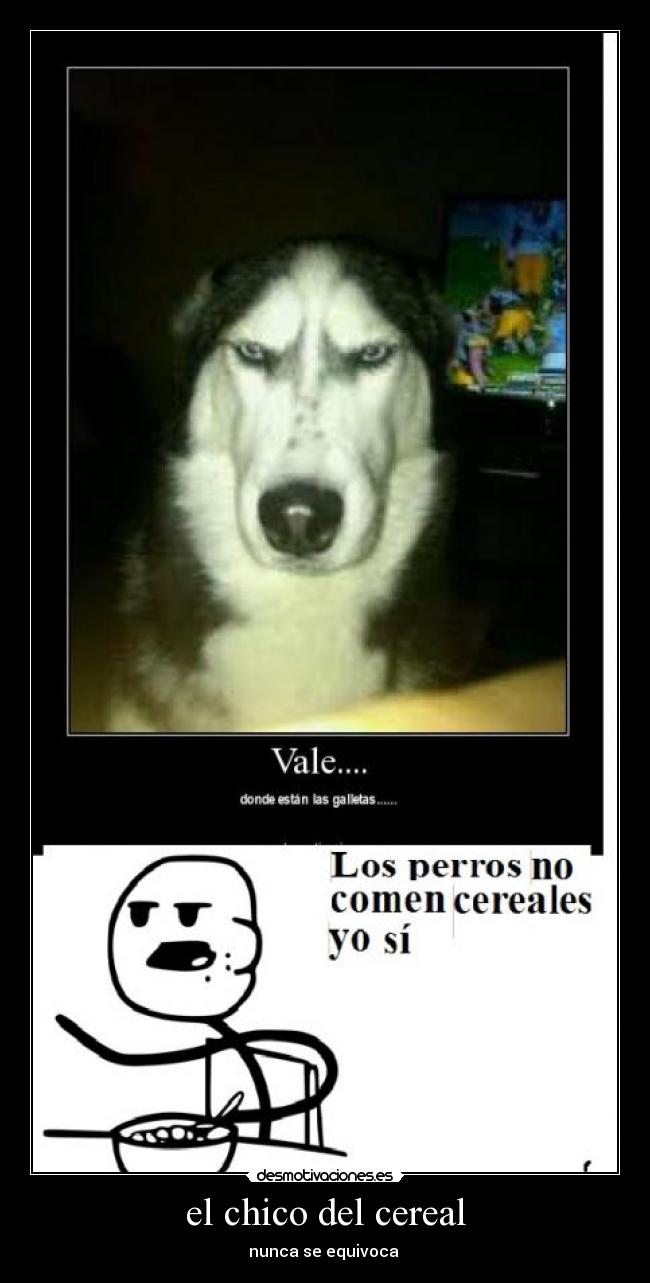 el chico del cereal - nunca se equivoca
