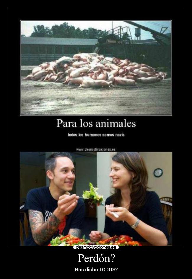 Perdón? - Has dicho TODOS?