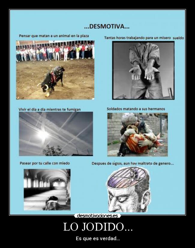 LO JODIDO... - Es que es verdad...