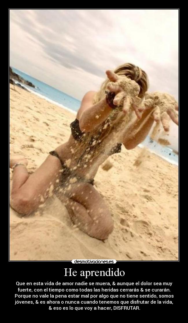 carteles aprendido desmotivaciones