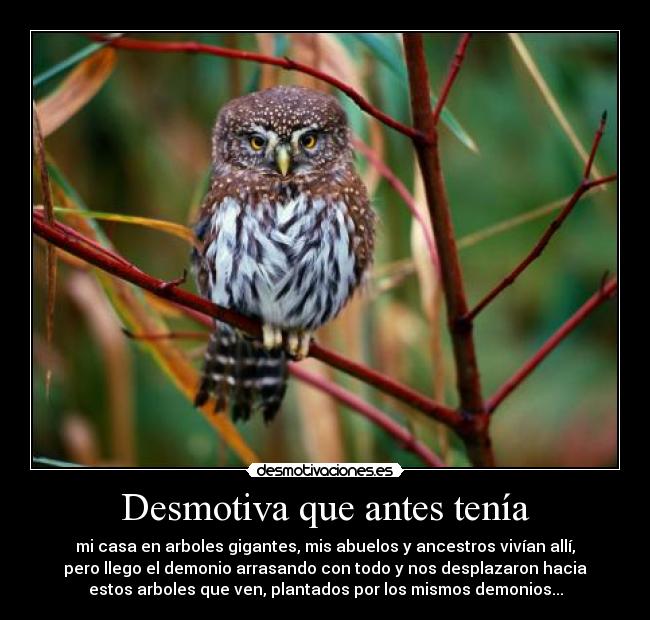 Desmotiva que antes tenía -