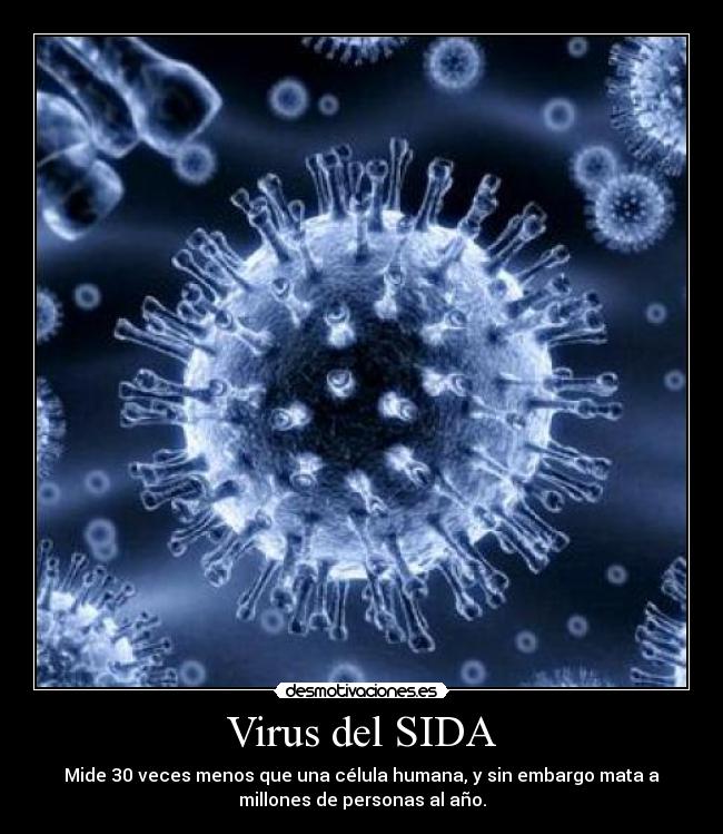 Virus del SIDA - Mide 30 veces menos que una célula humana, y sin embargo mata a
millones de personas al año.