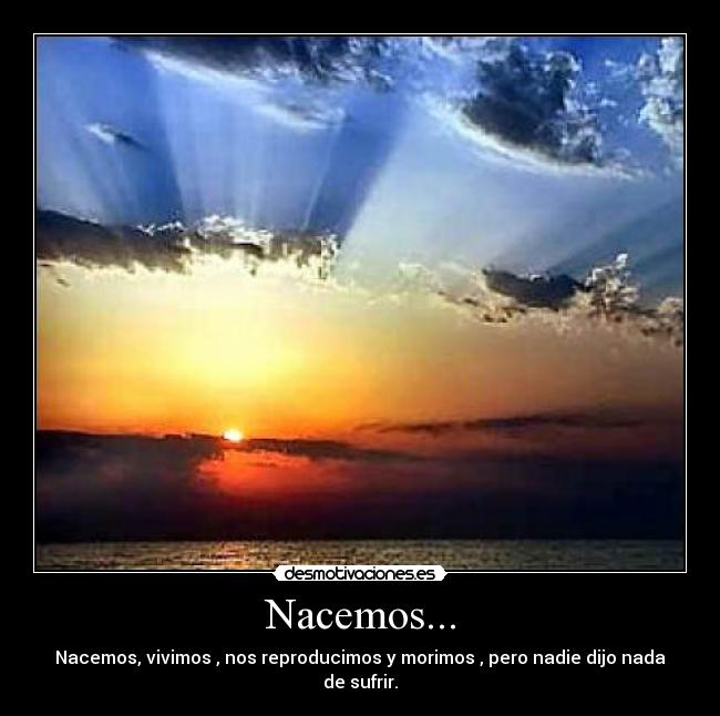 Nacemos... - 