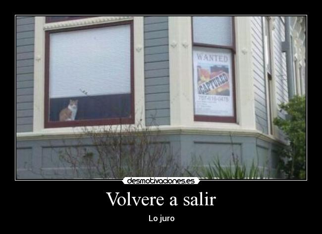 carteles otro gatosen cola desmotivaciones