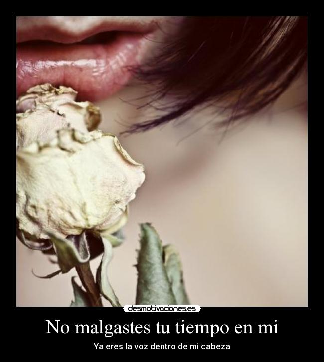 No malgastes tu tiempo en mi - Ya eres la voz dentro de mi cabeza