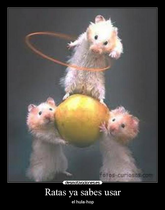 Ratas ya sabes usar - el hula-hop