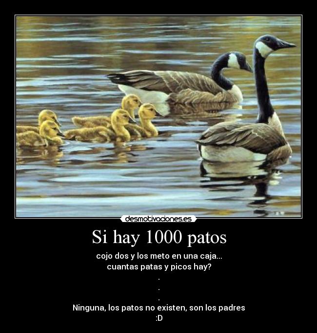 Si hay 1000 patos - cojo dos y los meto en una caja...
cuantas patas y picos hay?
.
.
.
Ninguna, los patos no existen, son los padres
:D
