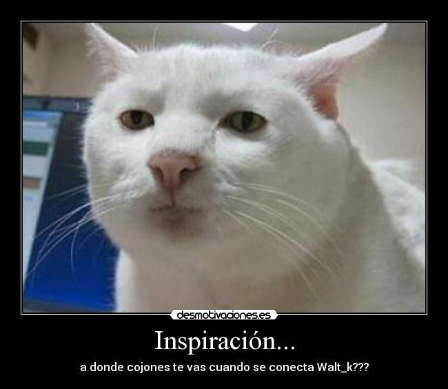 Inspiración... - a donde cojones te vas cuando se conecta Walt_k???