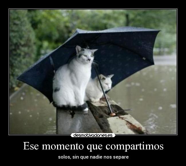 Ese momento que compartimos -