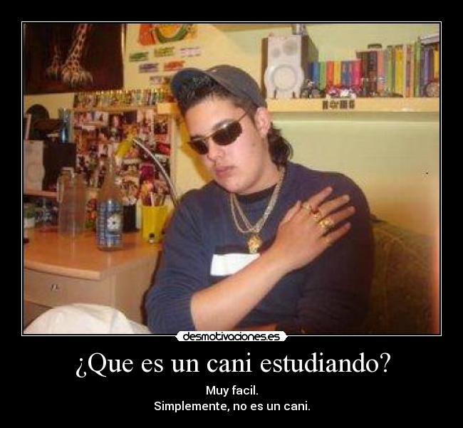 ¿Que es un cani estudiando? - 
