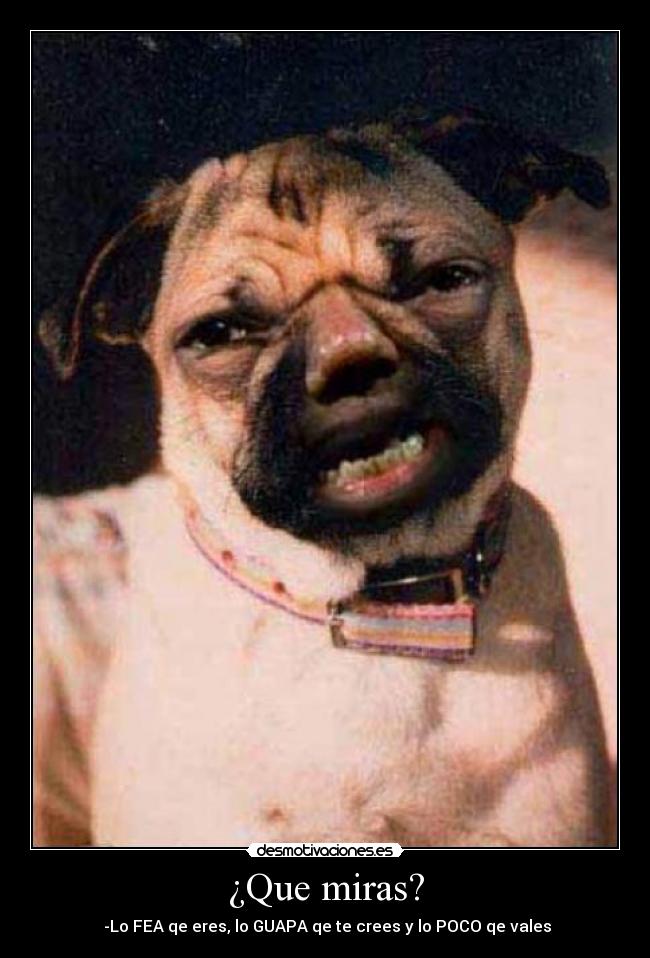 ¿Que miras? -