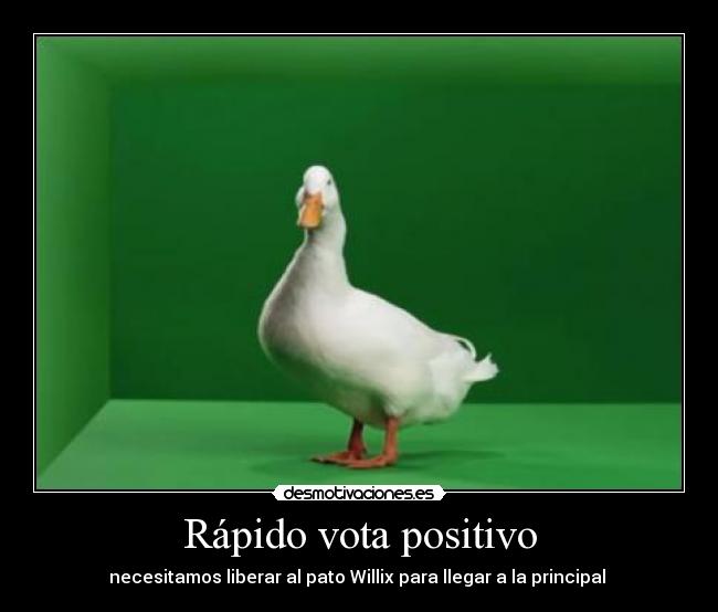 Rápido vota positivo -