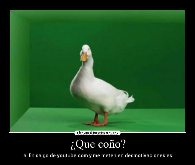 carteles pato willix desmotivaciones