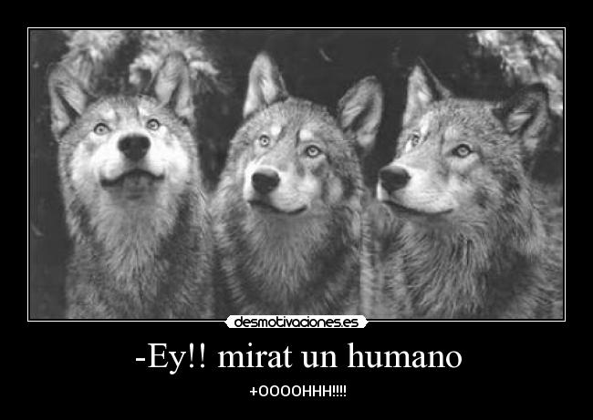 -Ey!! mirat un humano -