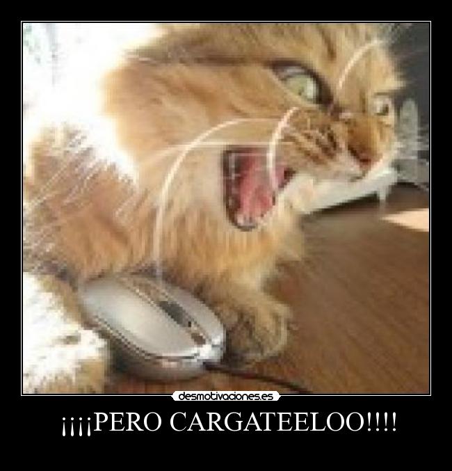 ¡¡¡¡PERO CARGATEELOO!!!! -