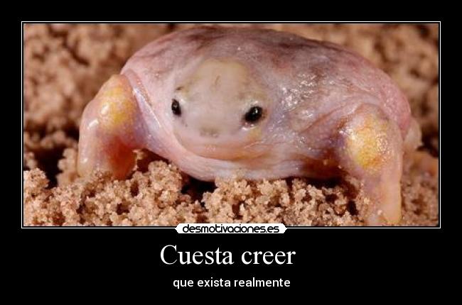 Cuesta creer - que exista realmente