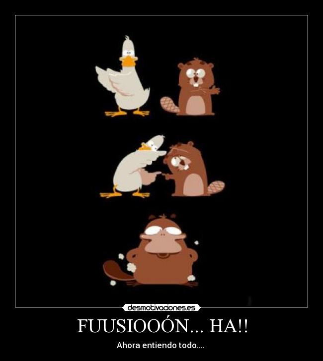 carteles dragon ball fusion anime manga pato ornitorrinco castor desmotivaciones