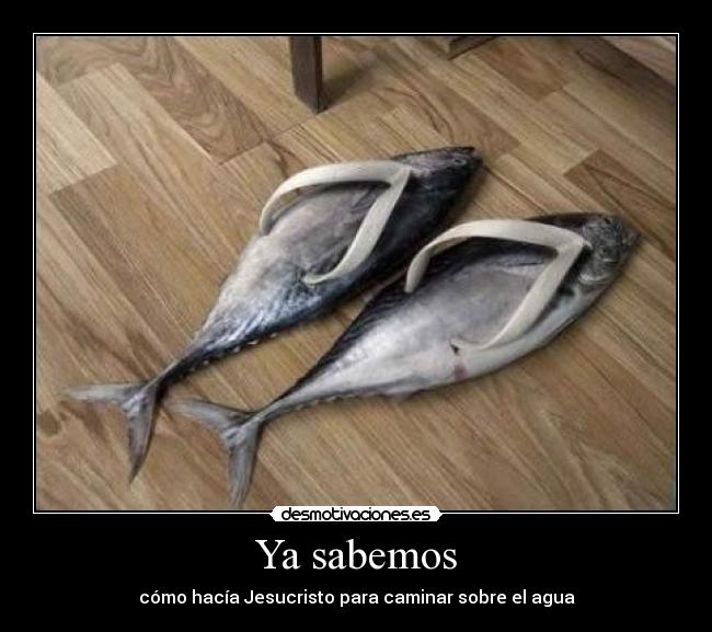 Ya sabemos - cómo hacía Jesucristo para caminar sobre el agua