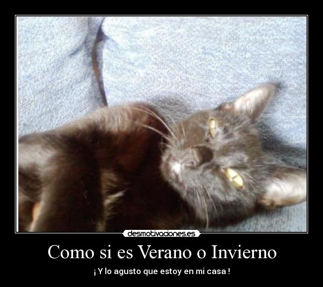 Como si es Verano o Invierno -