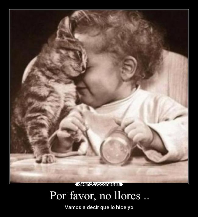 Por favor, no llores .. - Vamos a decir que lo hice yo