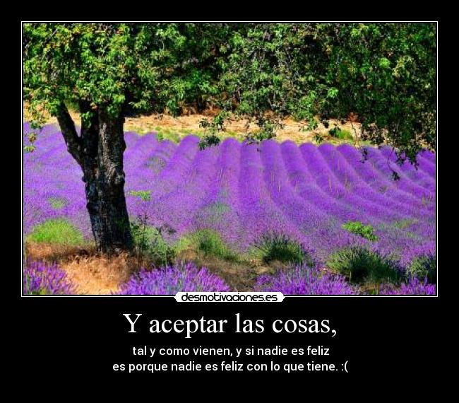 Y aceptar las cosas, - 