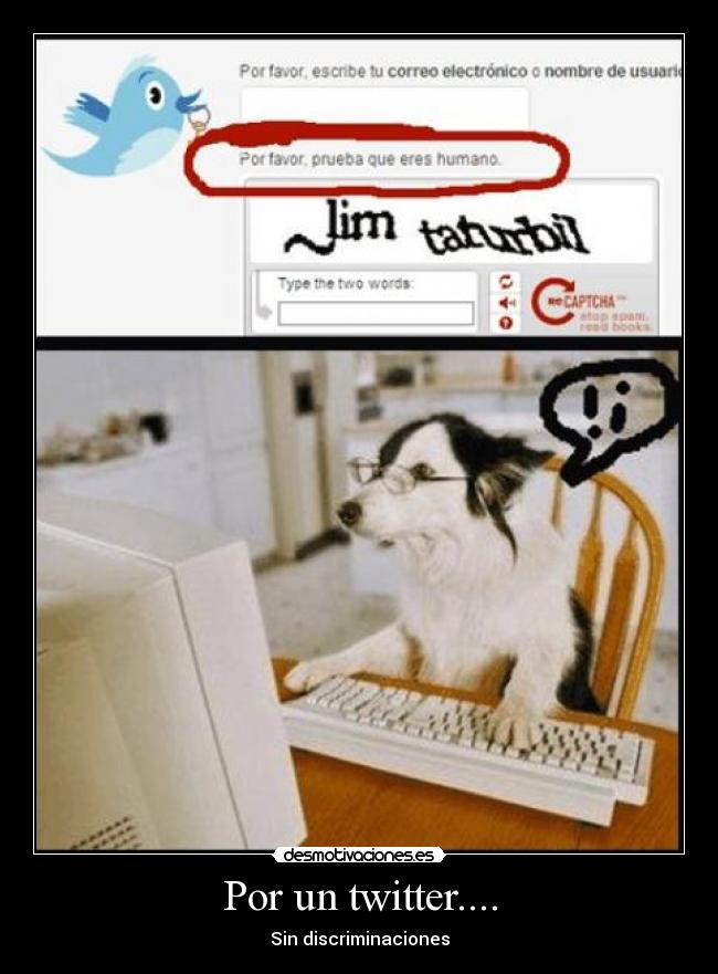 Por un twitter.... -