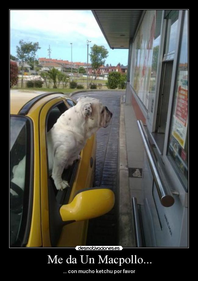 Me da Un Macpollo... -