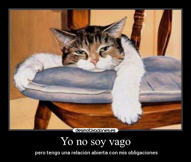 Yo no soy vago -  pero tengo una relación abierta con mis obligaciones