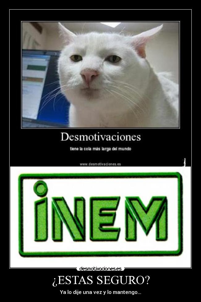 ¿ESTAS SEGURO? - Ya lo dije una vez y lo mantengo...