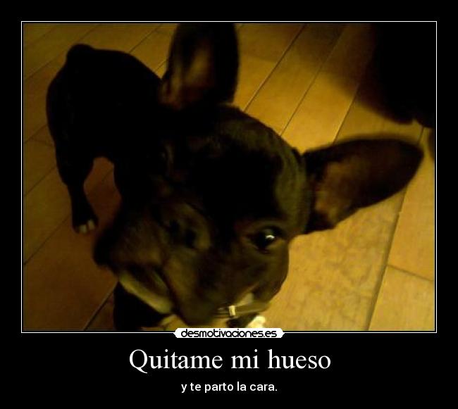 Quitame mi hueso - y te parto la cara.