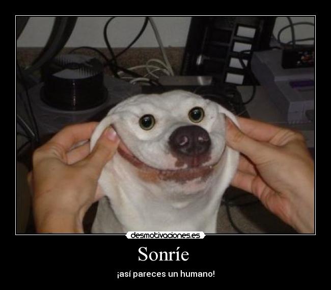 Sonríe -