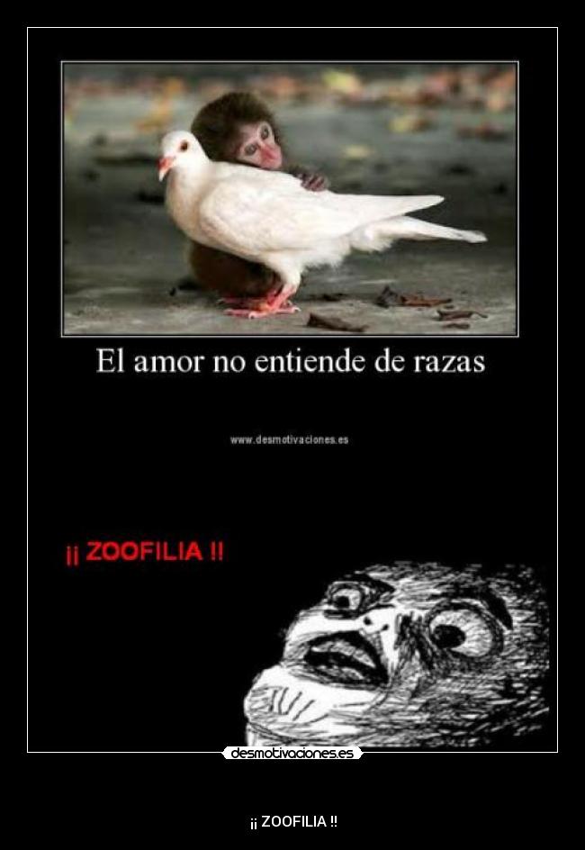- ¡¡ ZOOFILIA !!