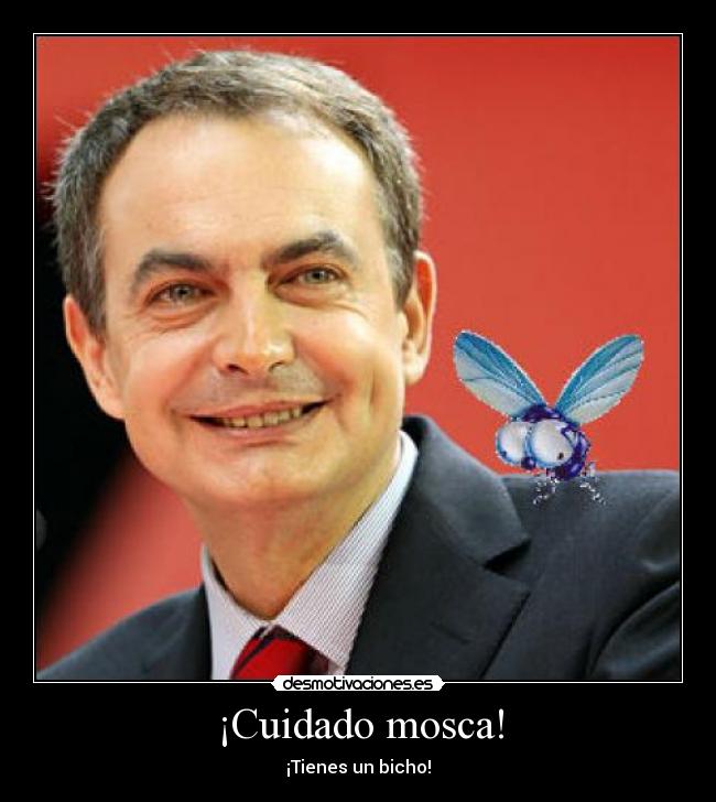 ¡Cuidado mosca! -