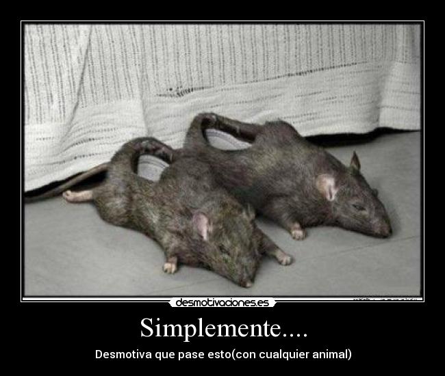 Simplemente.... - Desmotiva que pase esto(con cualquier animal)