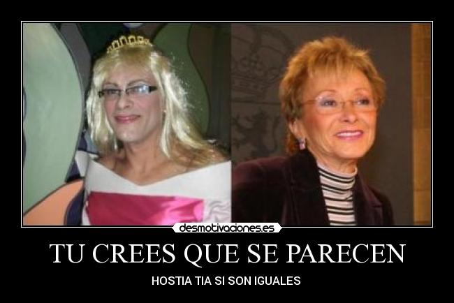 carteles parecen desmotivaciones