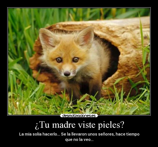 ¿Tu madre viste pieles? -