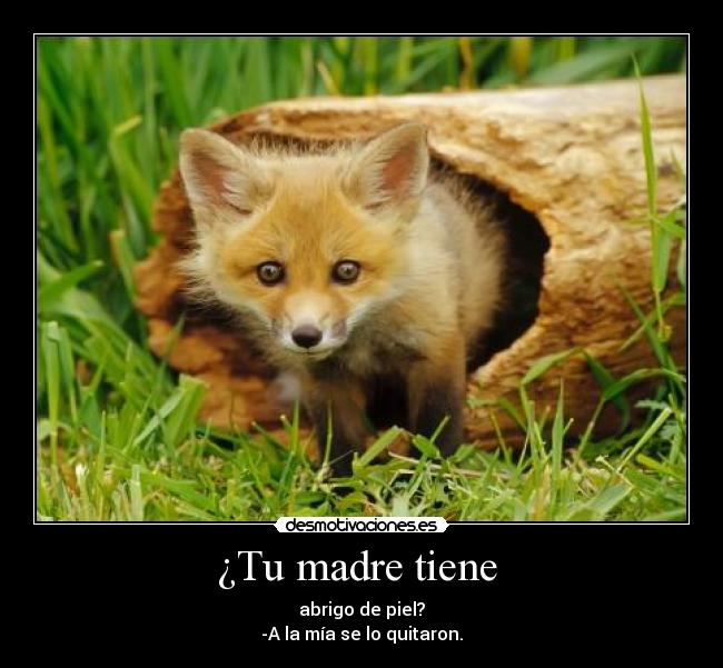 ¿Tu madre tiene -