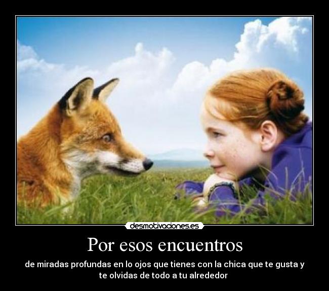 Por esos encuentros - de miradas profundas en lo ojos que tienes con la chica que te gusta y
te olvidas de todo a tu alrededor