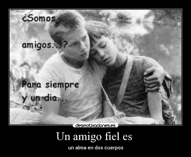 Un amigo fiel es  - un alma en dos cuerpos