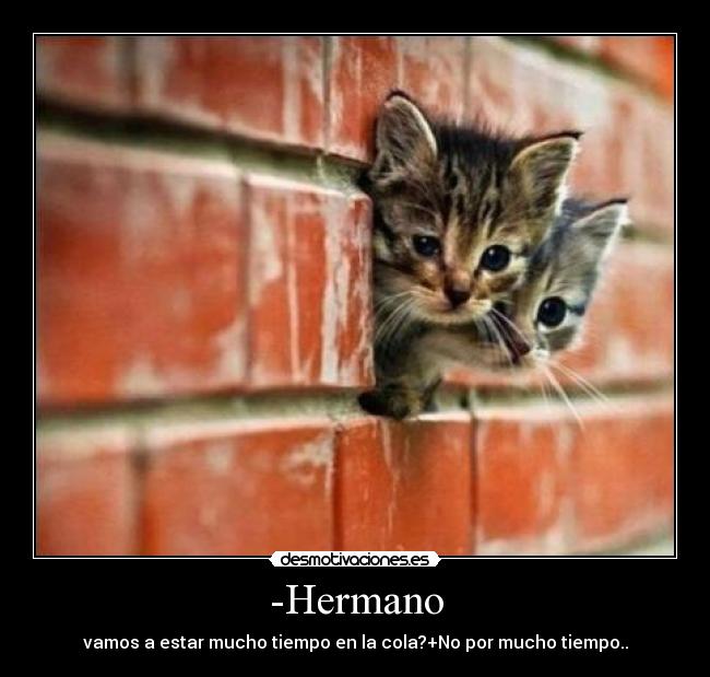 -Hermano - vamos a estar mucho tiempo en la cola?+No por mucho tiempo..