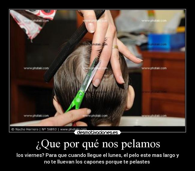 ¿Que por qué nos pelamos - los viernes? Para que cuando llegue el lunes, el pelo este mas largo y
no te lluevan los capones porque te pelastes 
