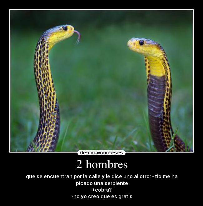 2 hombres - que se encuentran por la calle y le dice uno al otro: - tio me ha picado una serpiente
+cobra?
-no yo creo que es gratis