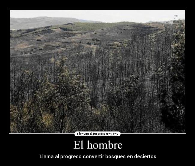 El hombre - Llama al progreso convertir bosques en desiertos