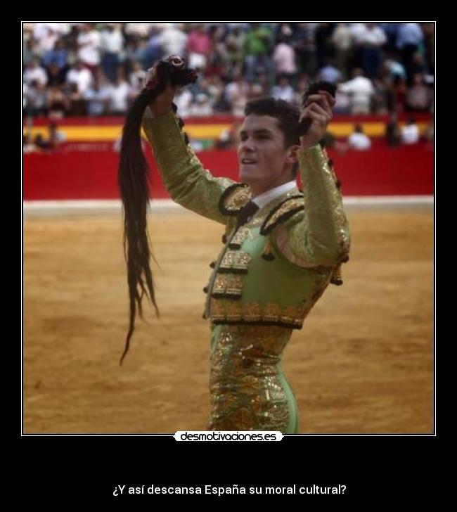 carteles antitaurino corridas espana toros desmotivaciones