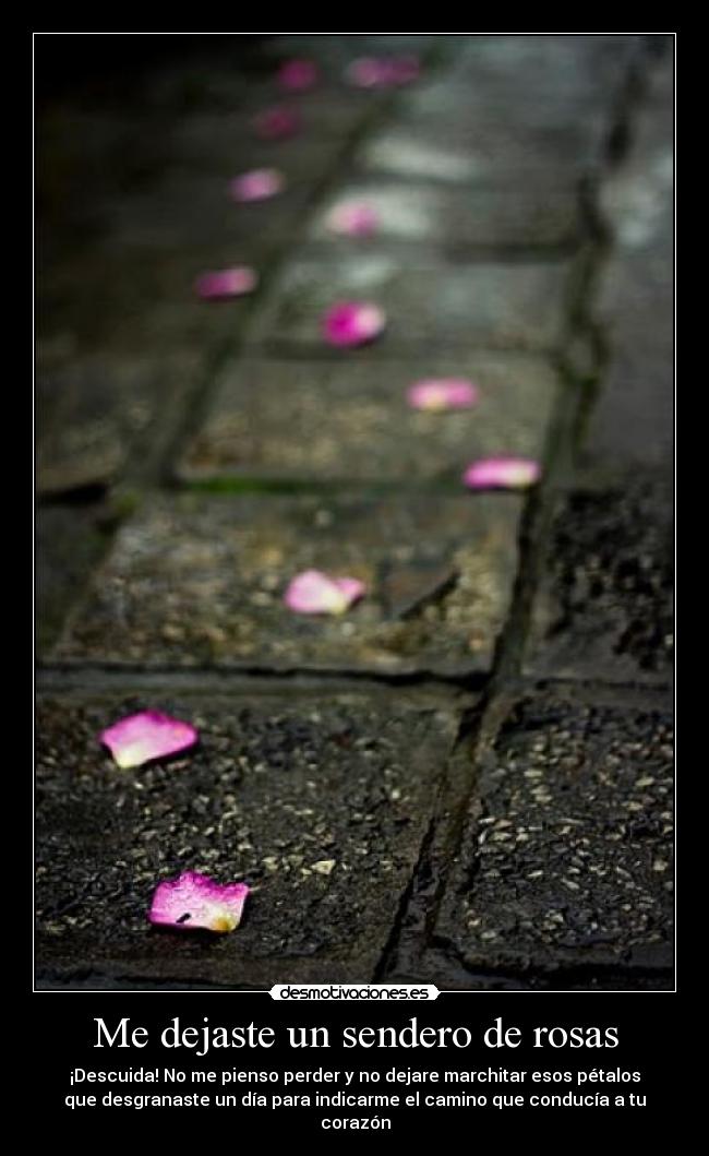 carteles amor desmotivaciones