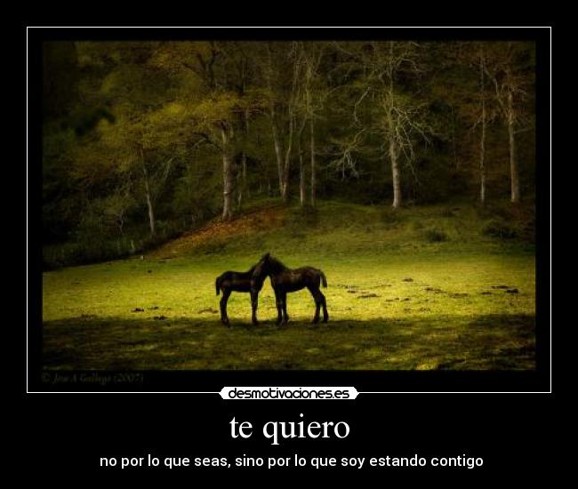 te quiero -