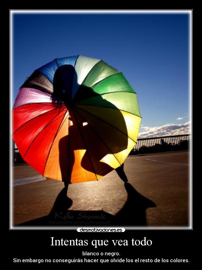 carteles colurs desmotivaciones