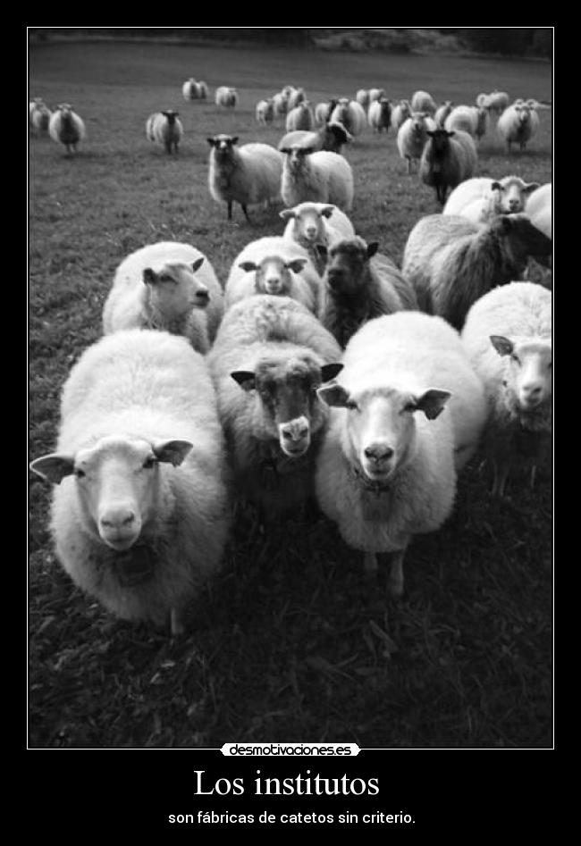 Los institutos - son fábricas de catetos sin criterio.