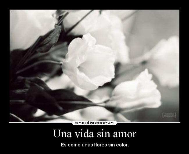 Una vida sin amor -